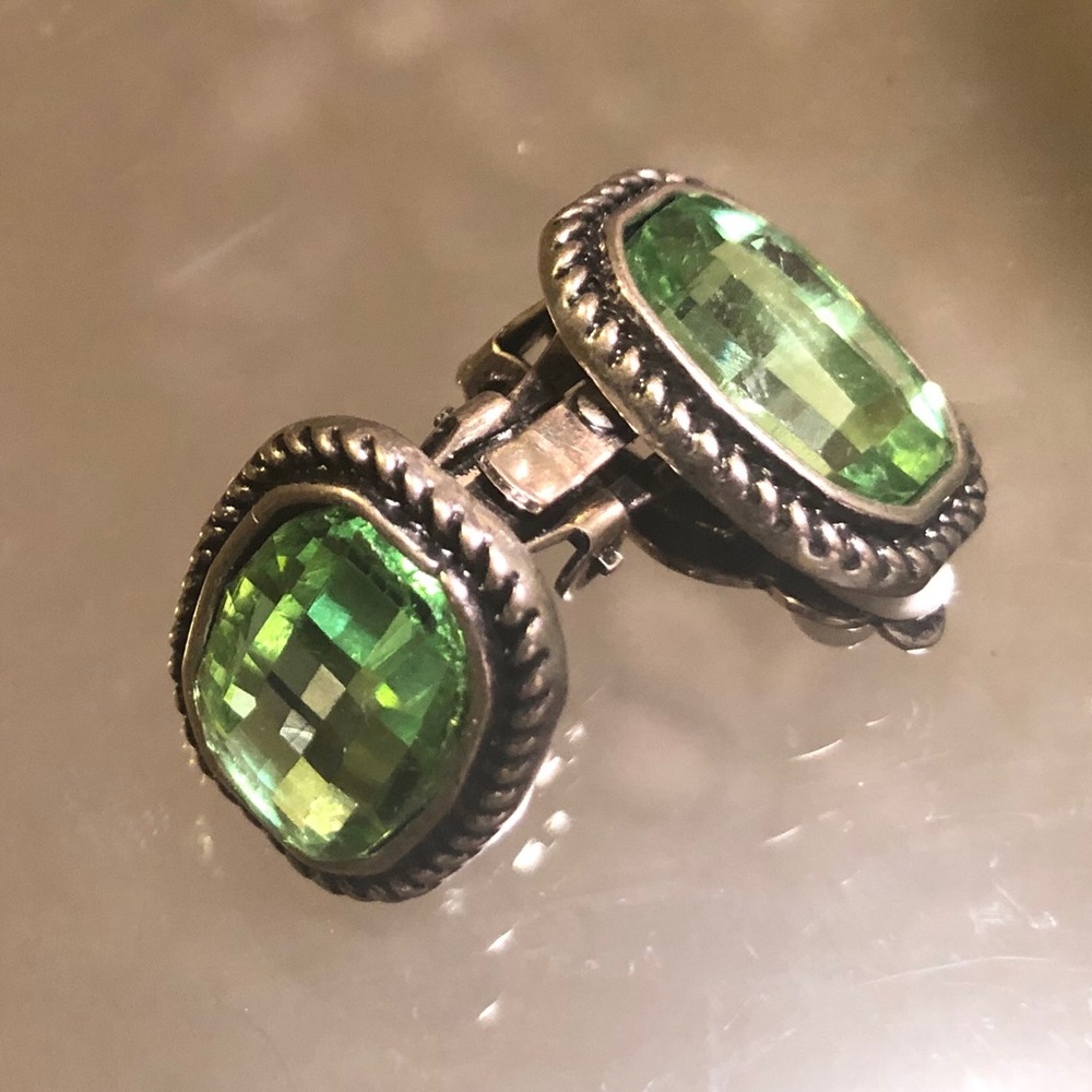 NWOT Clip-0n earrings